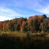 Springbank Park