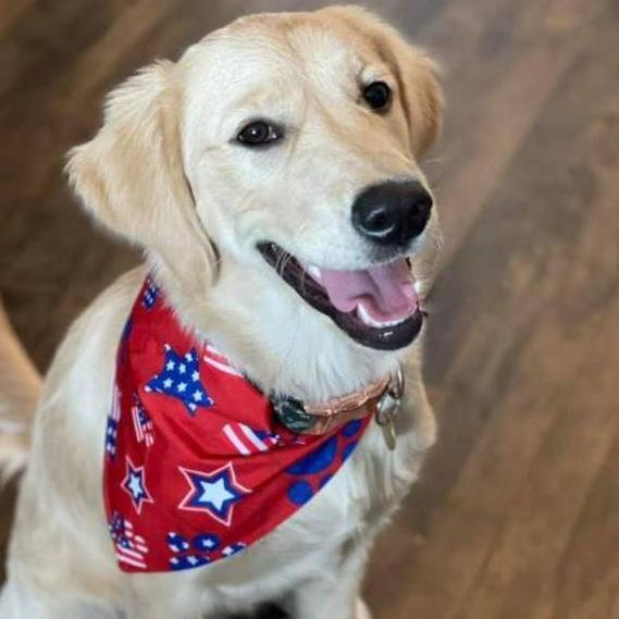 The third member of the fam ...