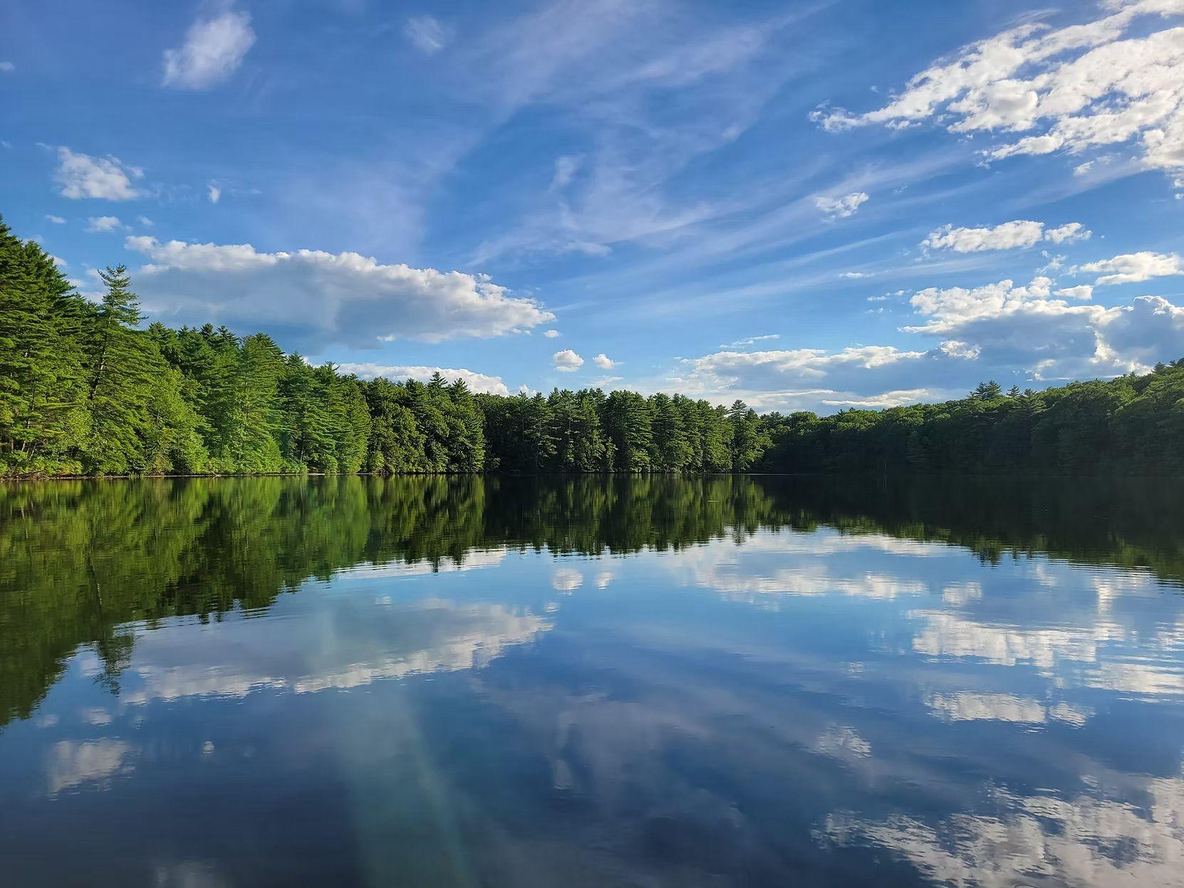 The Wedding Website of Romina Berberi and Justin Oppus