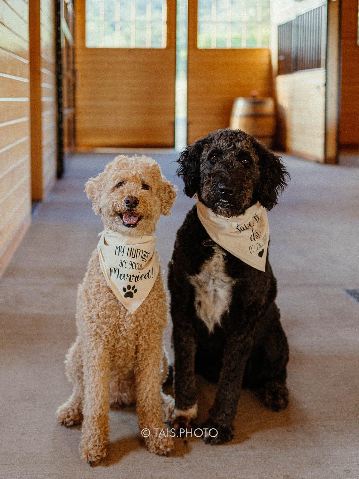 The Wedding Website of Keaton -Hoy and Connor LeBrun