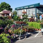 Oakland County Farmer's Market