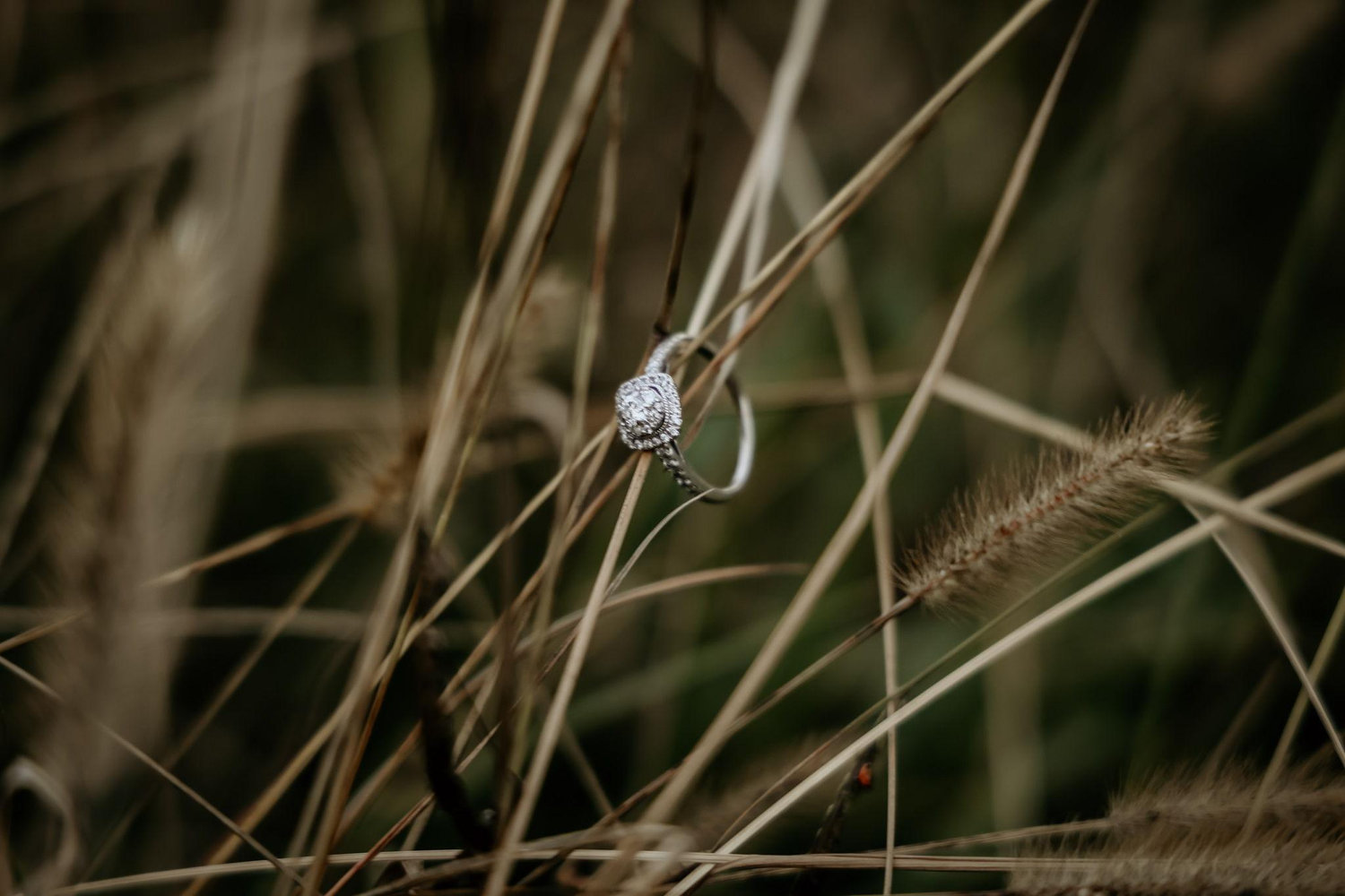 The Wedding Website of Hailey Miller and Dylan Icard