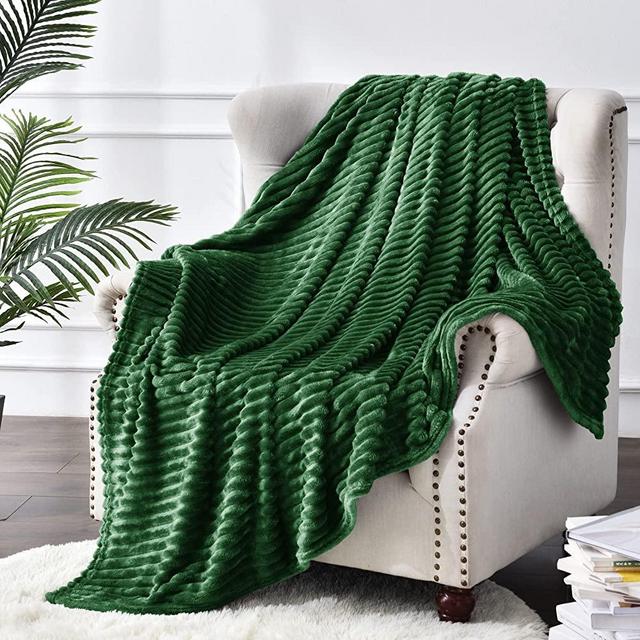 BEDELITE Fleece Throw Blanket for Couch – 3D Ribbed Jacquard Soft and Warm Decorative Spring Blankets – Cozy, Fuzzy, Fluffy, Plush Lightweight Green Throw Blankets for Bed, Sofa, 50x60 inches