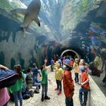 The Dallas World Aquarium