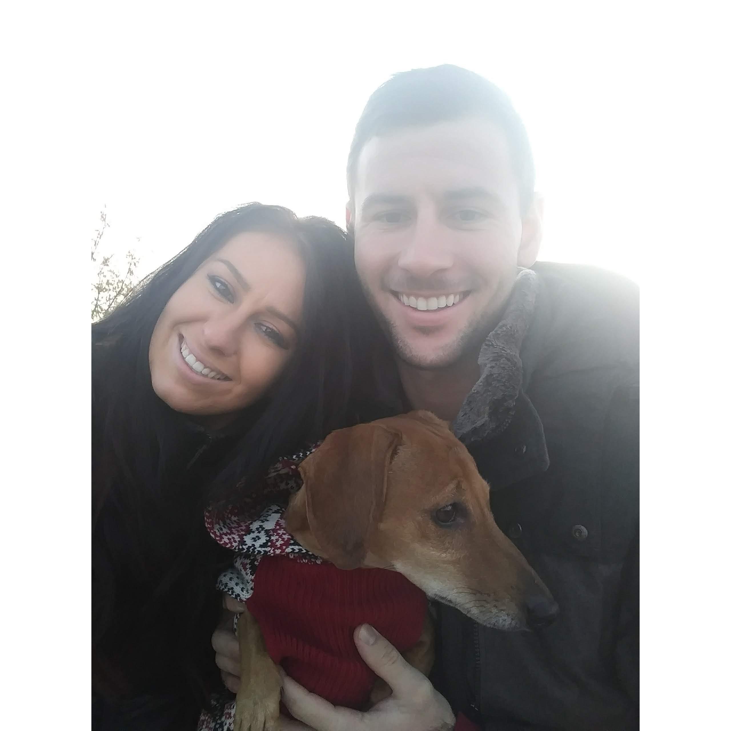 Dog park adventures