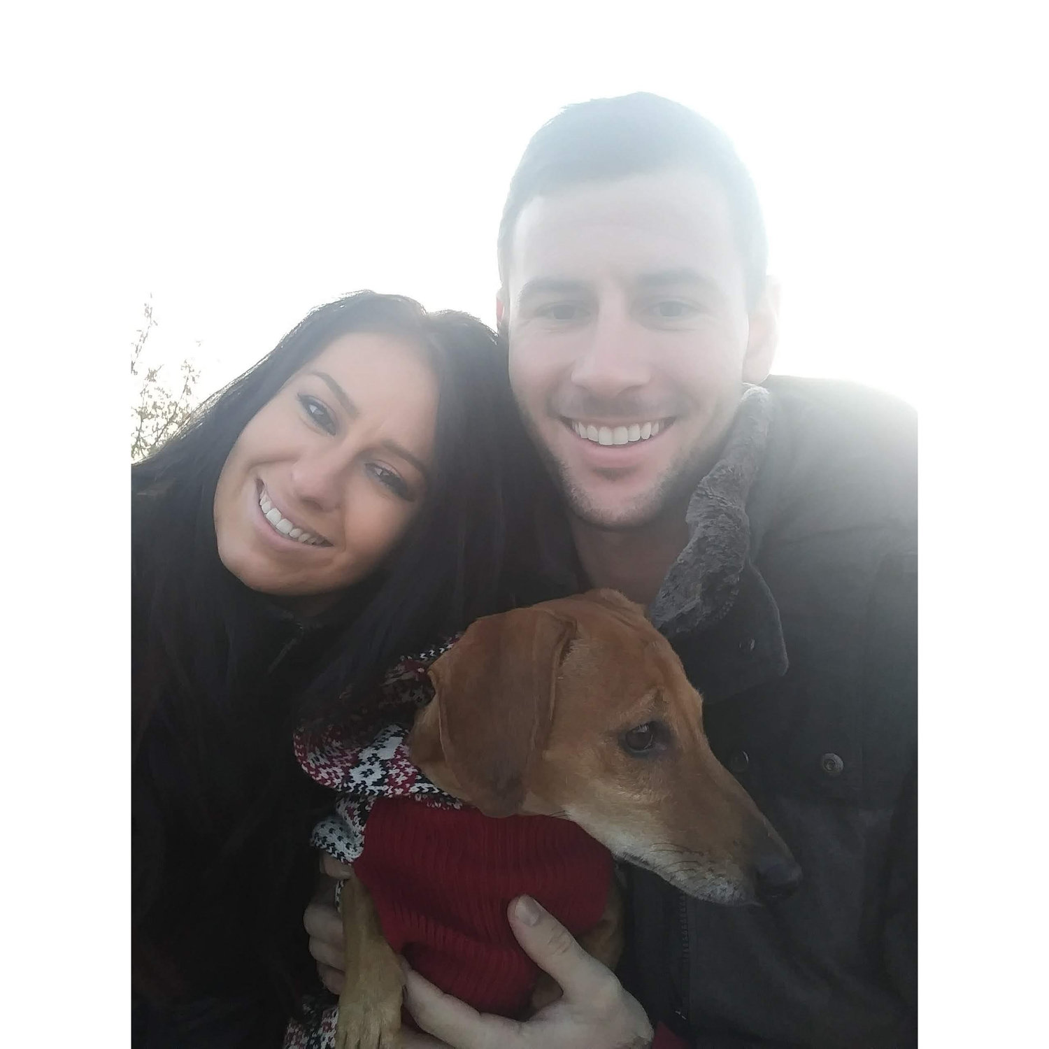 Dog park adventures