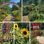 Lake Lure Flowering Bridge