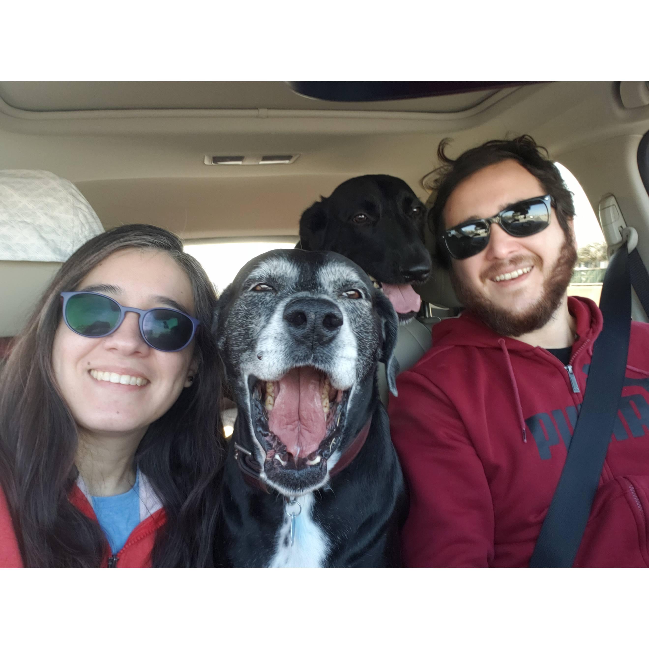 Family road trip