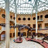 Fernbank Museum | 3D Theater | Forest