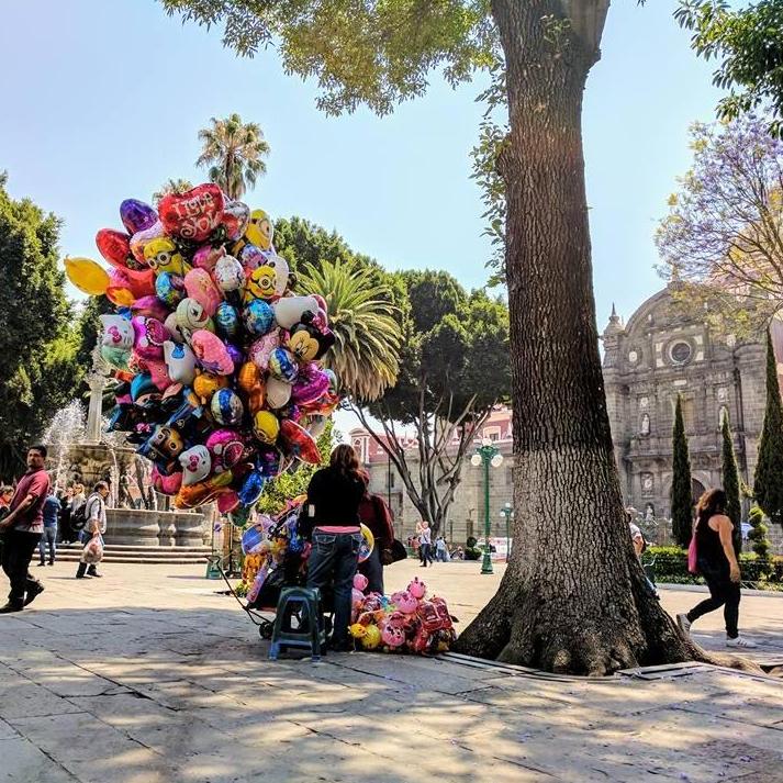 El Zócalo with the Cathedral behind
