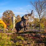 Saint Louis Zoo