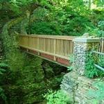 Phelps Park