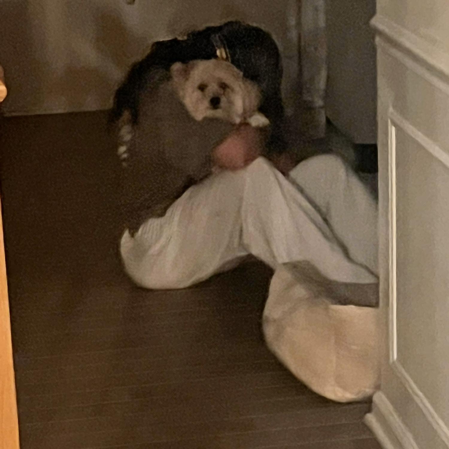 So cuddly