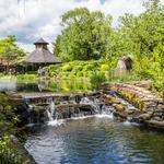 Grounds For Sculpture