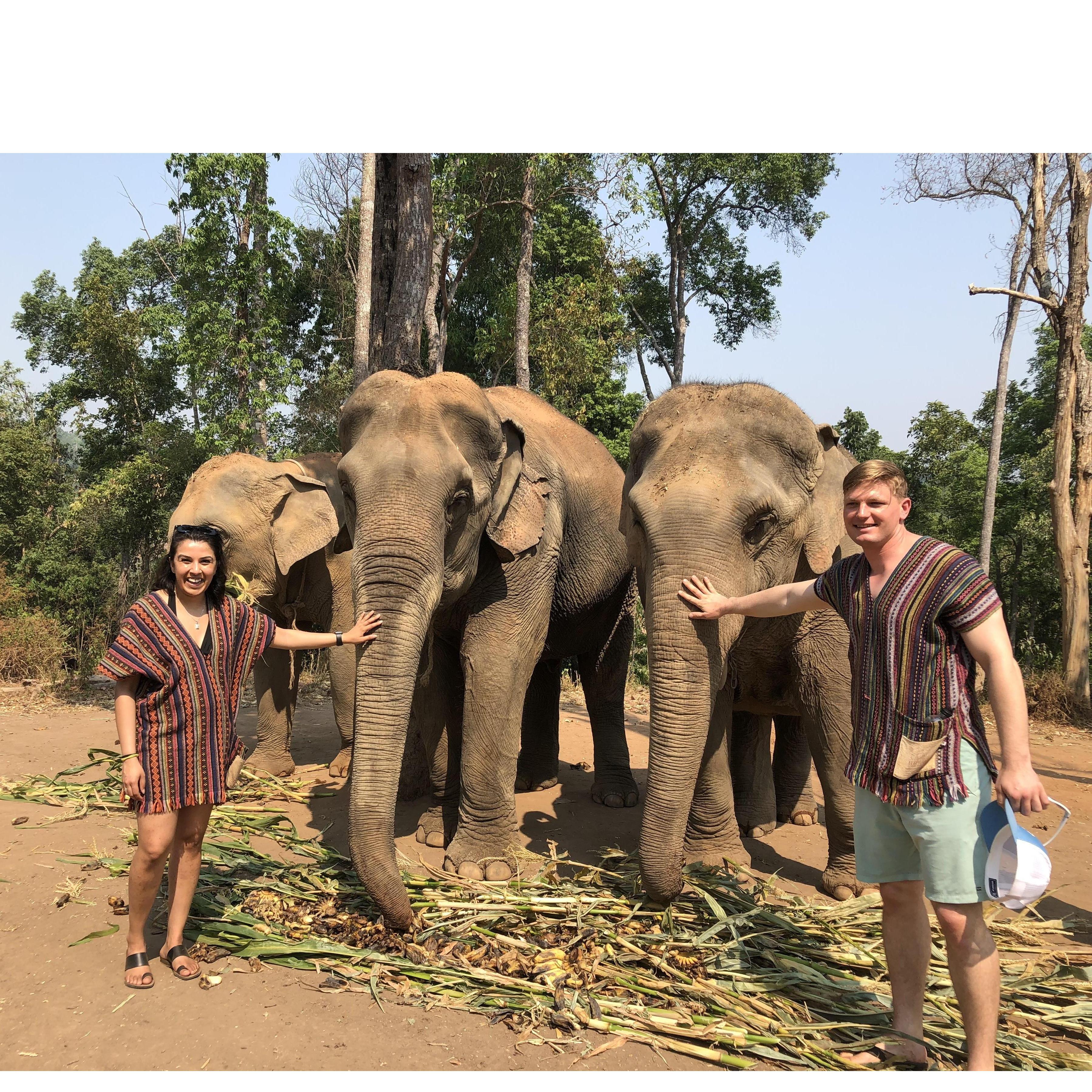Making elephant friends in Chiang Mai, Thailand. April 2019