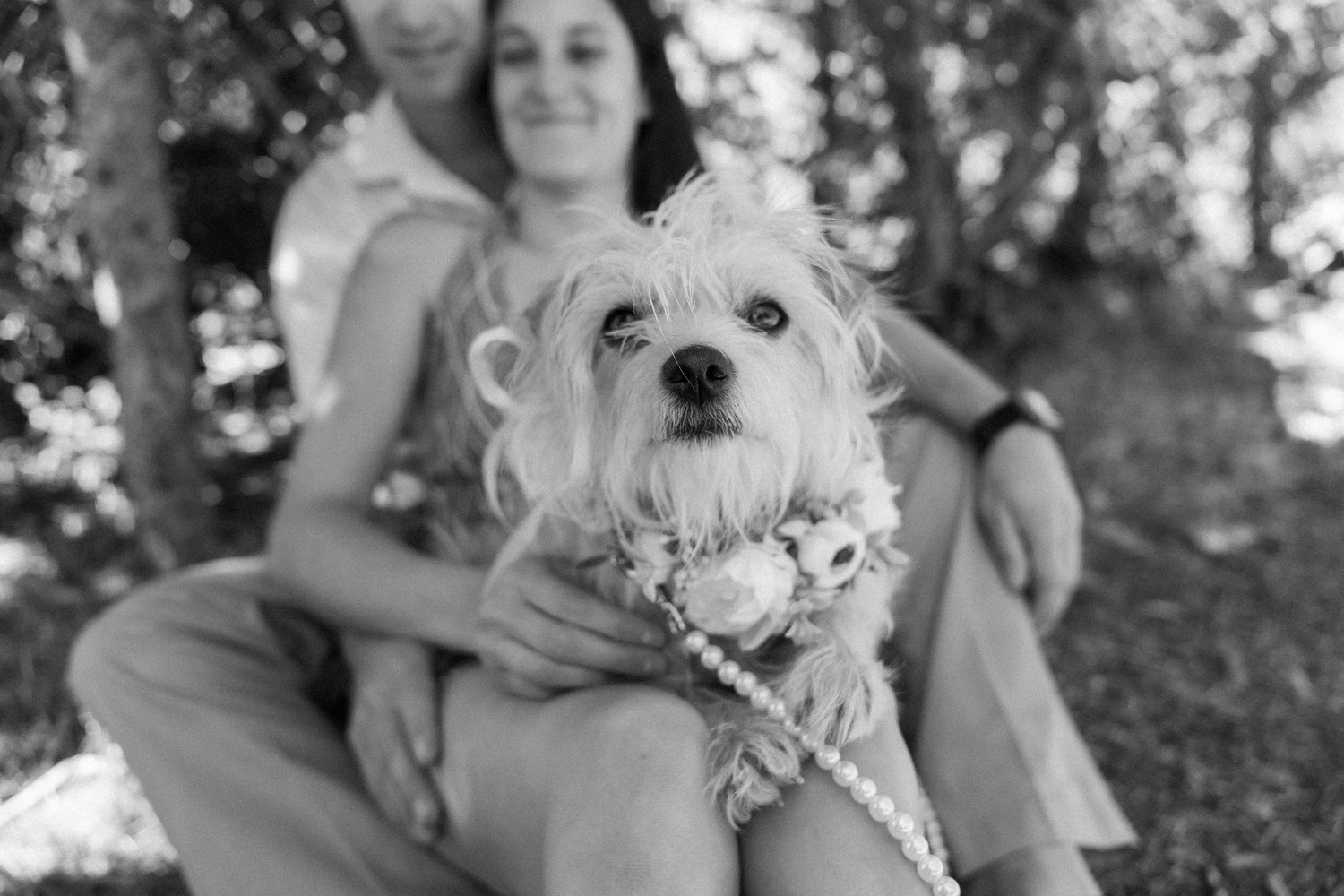 The Wedding Website of Maria Grant and Rob Orban
