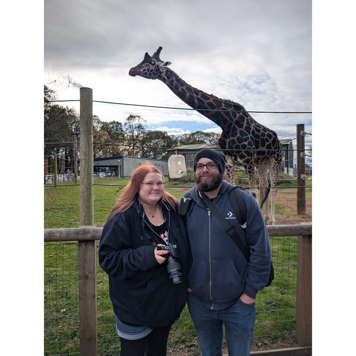 Photobombed by a giraffe at Yorkshire wildlife park