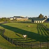 Middleburg