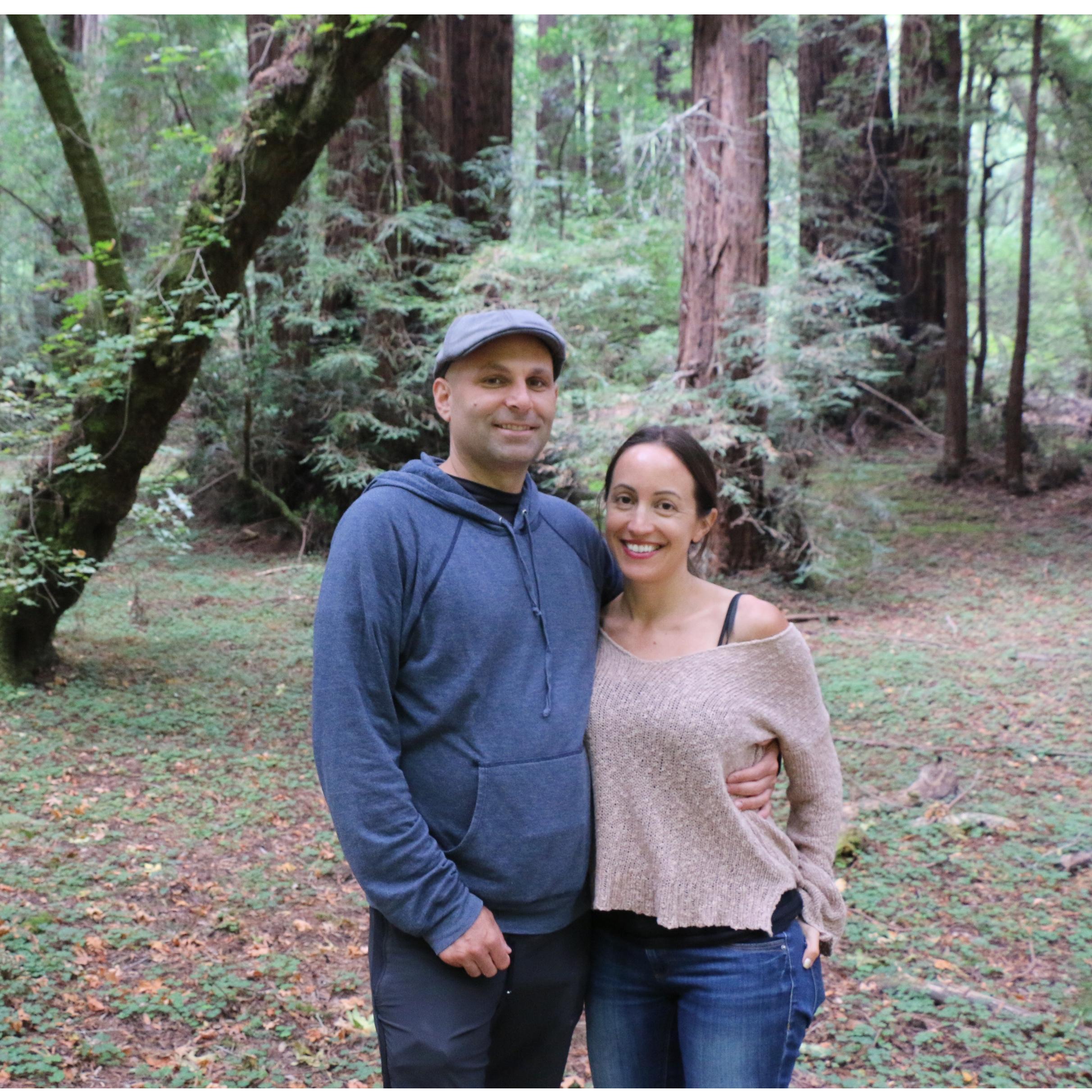 Muir Woods Redwood forest.