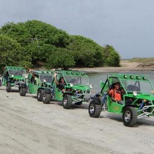 Renewal Trip Buggy Adventures