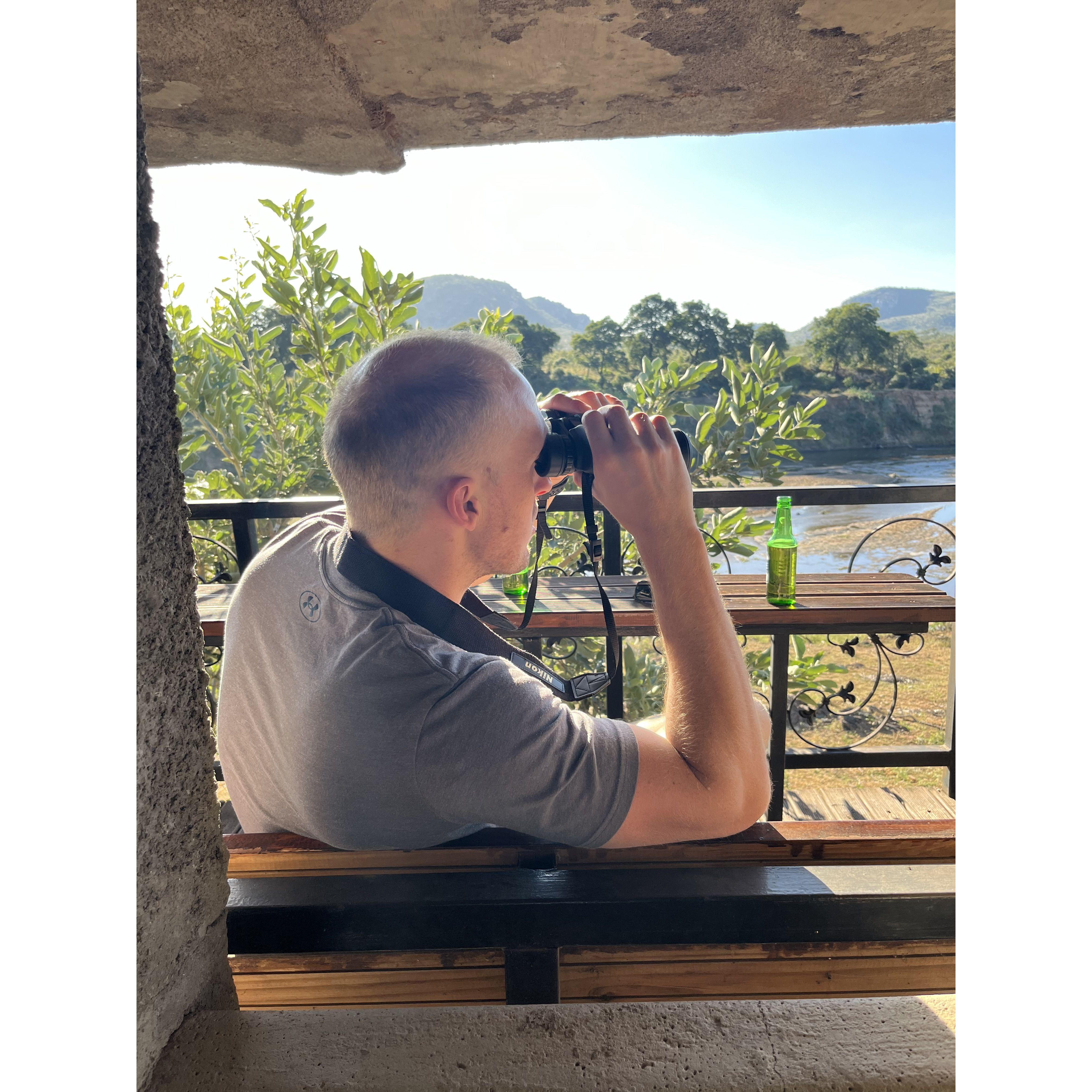 Enjoying the sightseeing even from our Bed & Breakfast across the river from the Kruger National Park - elephants, crocs, and impala galore (plus more)!