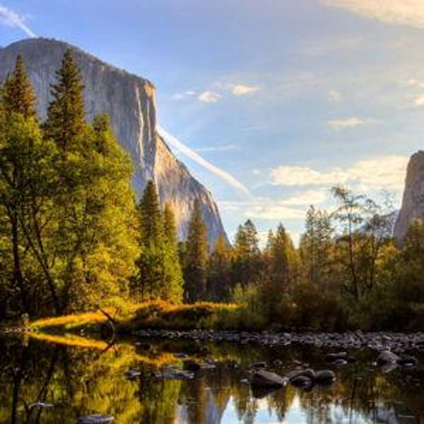 Honeymoon Accomodation Fund