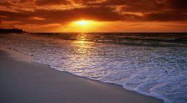c80e508b-573a-485c-8d41-f2be02681a21