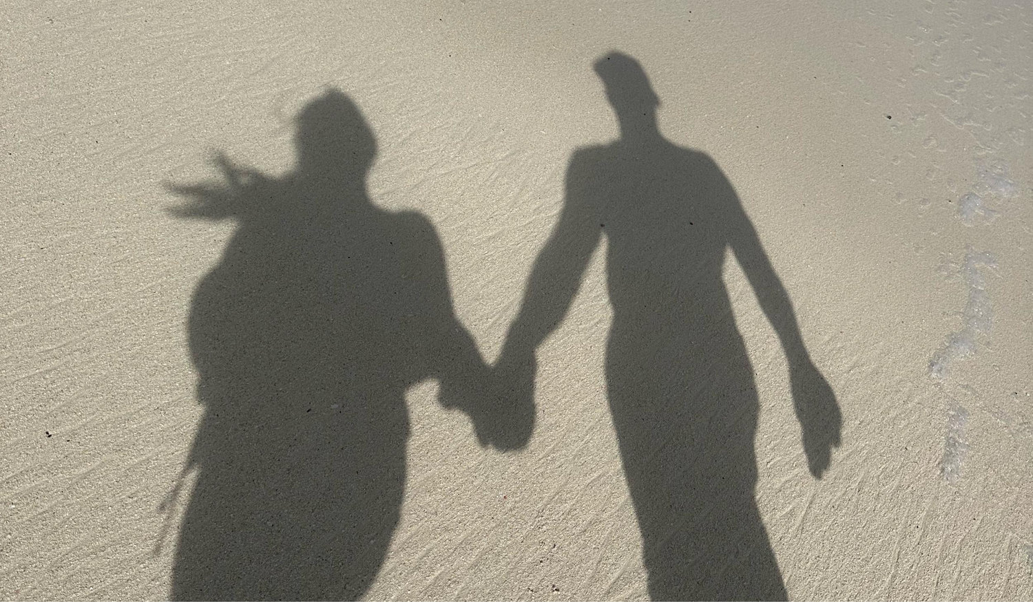 The Wedding Website of Holly Hartley and Will Davis