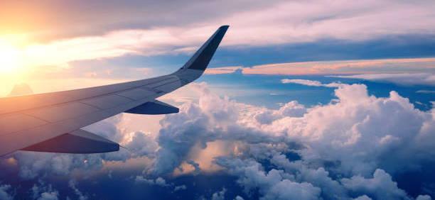 The Wedding Website of Sarah Minamyer and David Paul