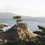 Monterey Bay