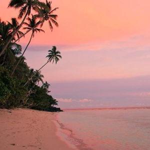 Honeymoon Fund