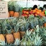 Parker Ranch Farmers Market on Saturdays