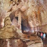 Natural Bridge Caverns and Wildlife Ranch