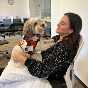 Dog-therapy sessions