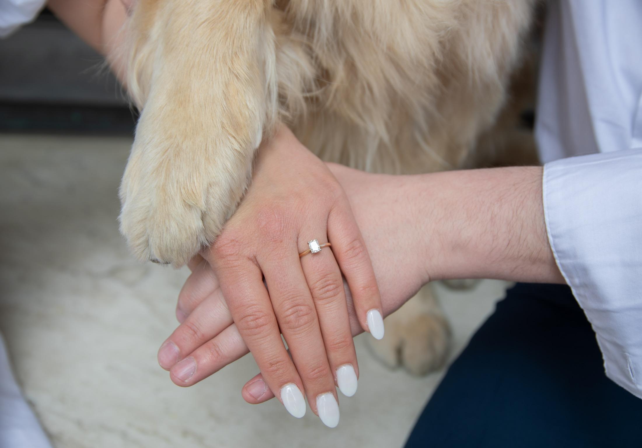 The Wedding Website of Megan Anders and Shane Barberis