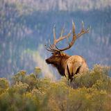 Rocky Mountain National Park