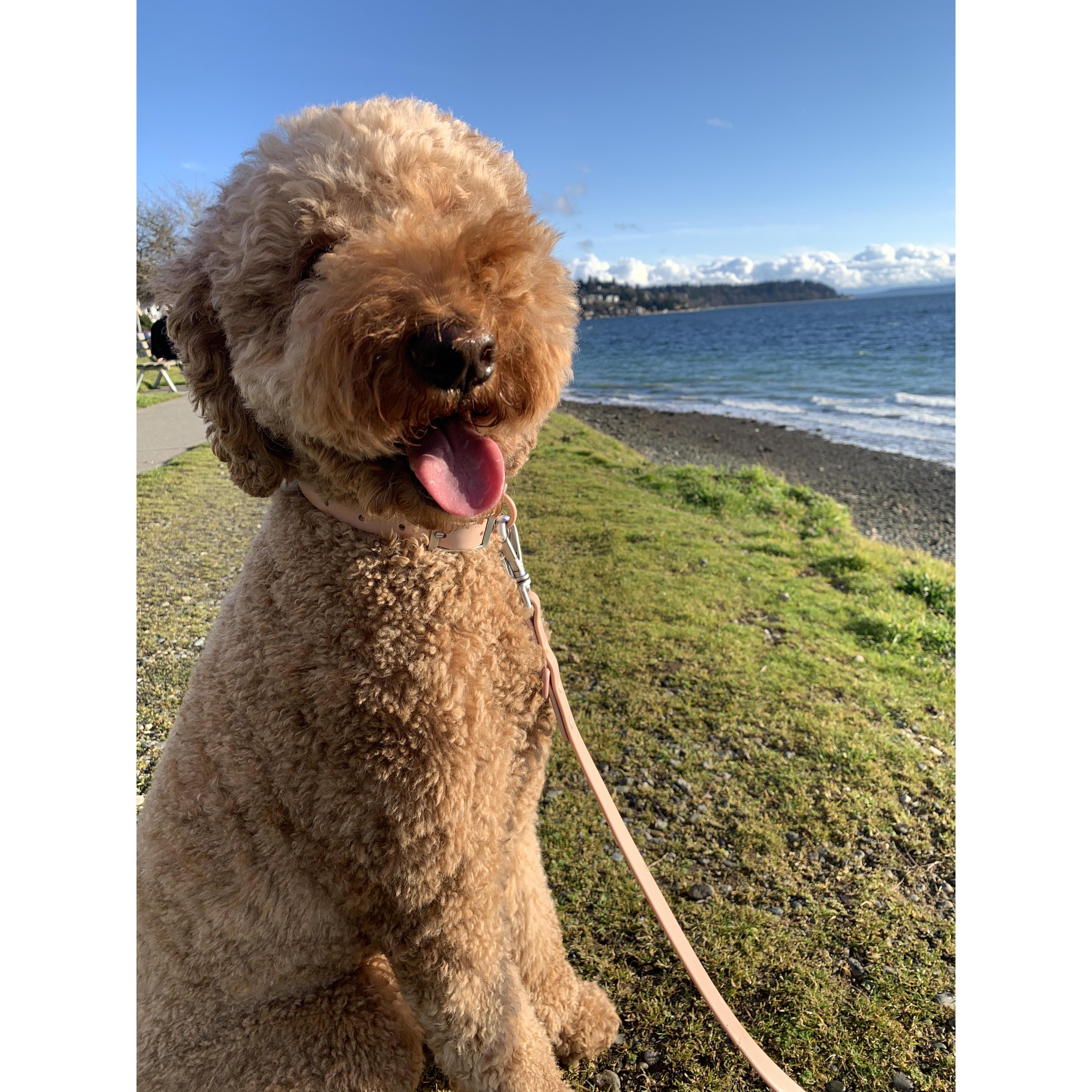 walks on Alki