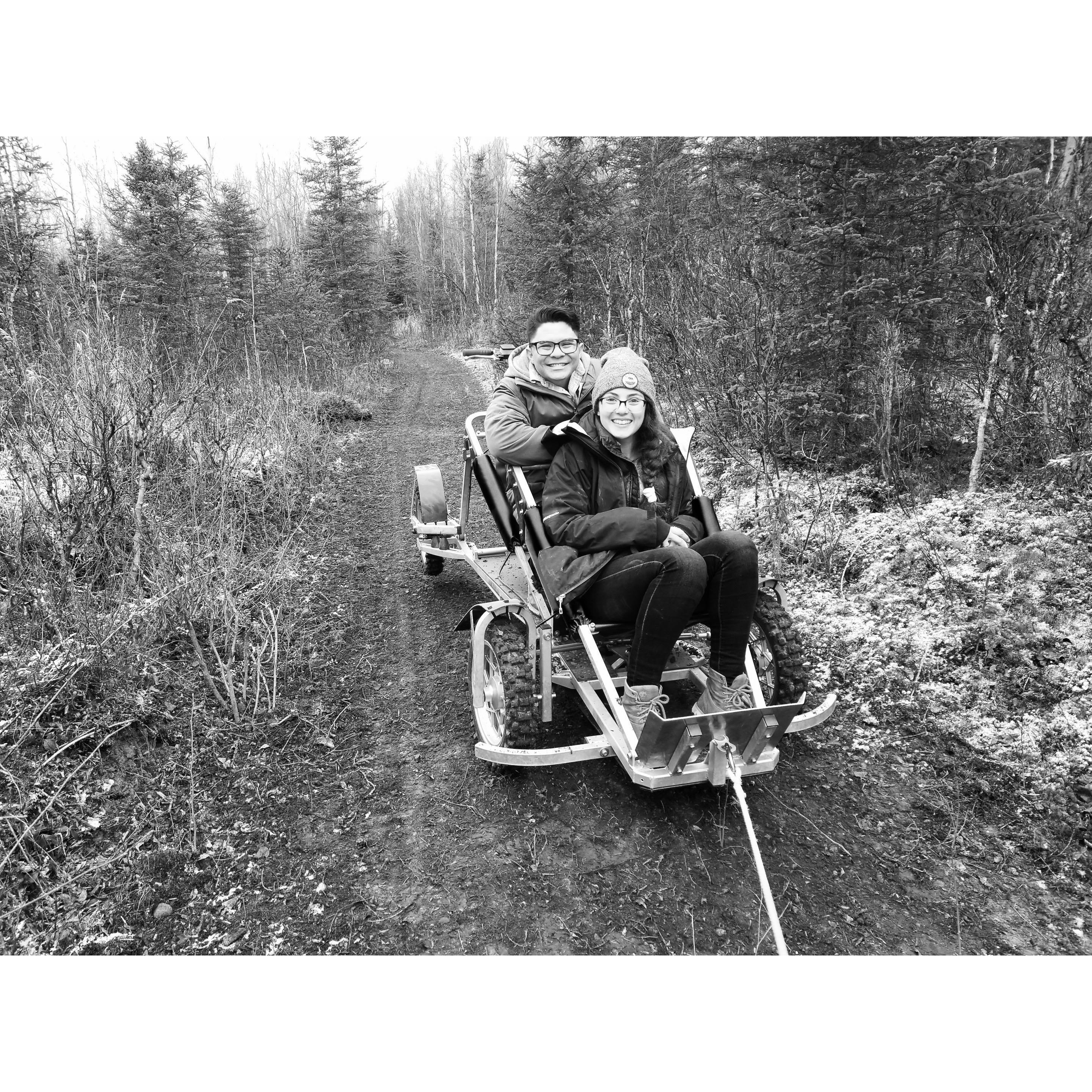Dogsledding in Alaska for our 3 year anniversary!