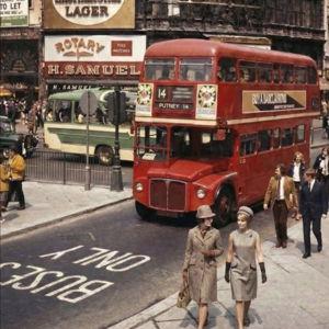 Site-Seeing Tours