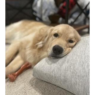 BOGEY!