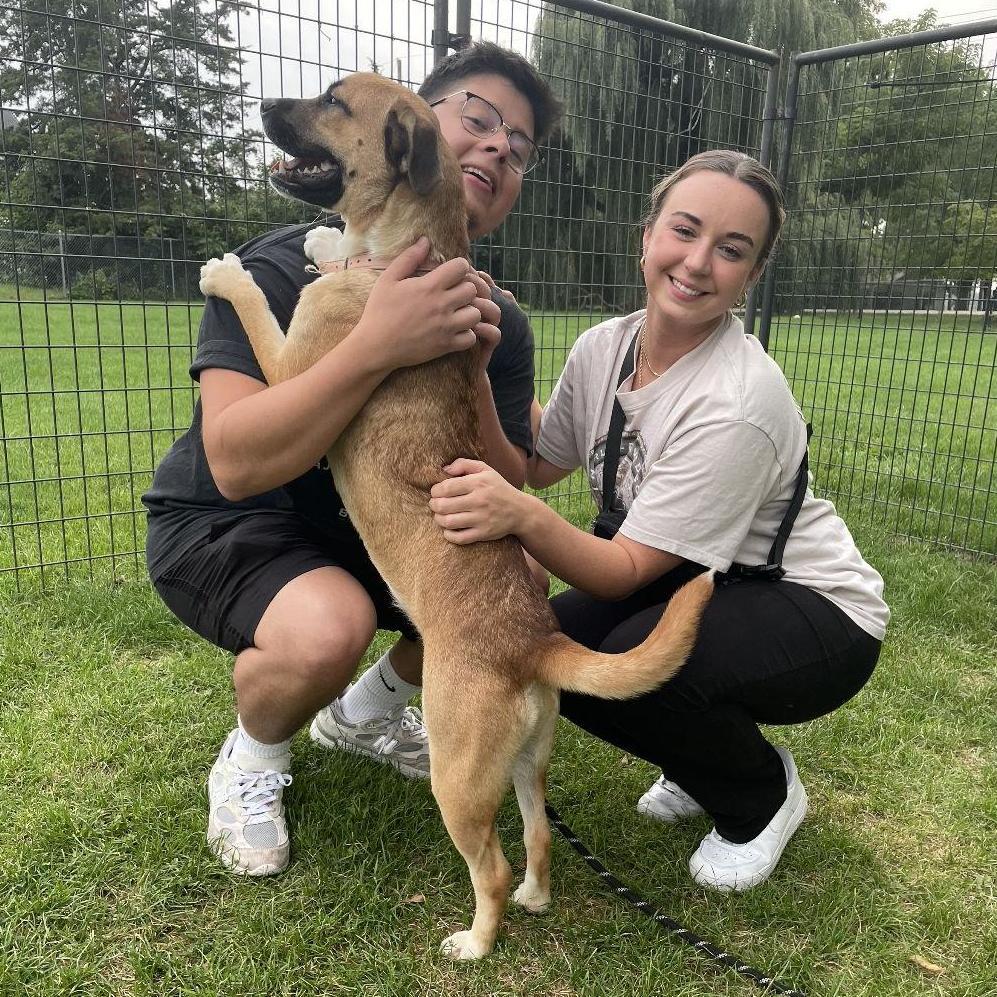 The day we adopted Sadie!