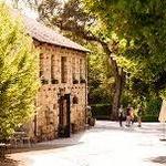 Buena Vista Winery