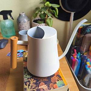 Watering Can Pot for Indoor House Plants