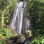 El Yunque National Forest