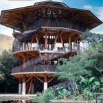 Botanical garden de Cali