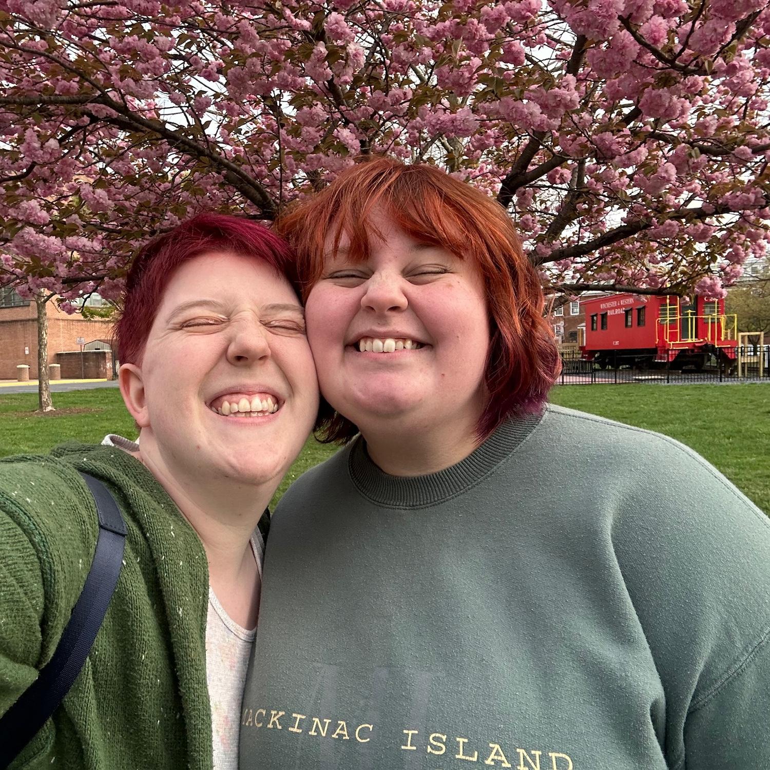 Spring in Winchester is beautiful!