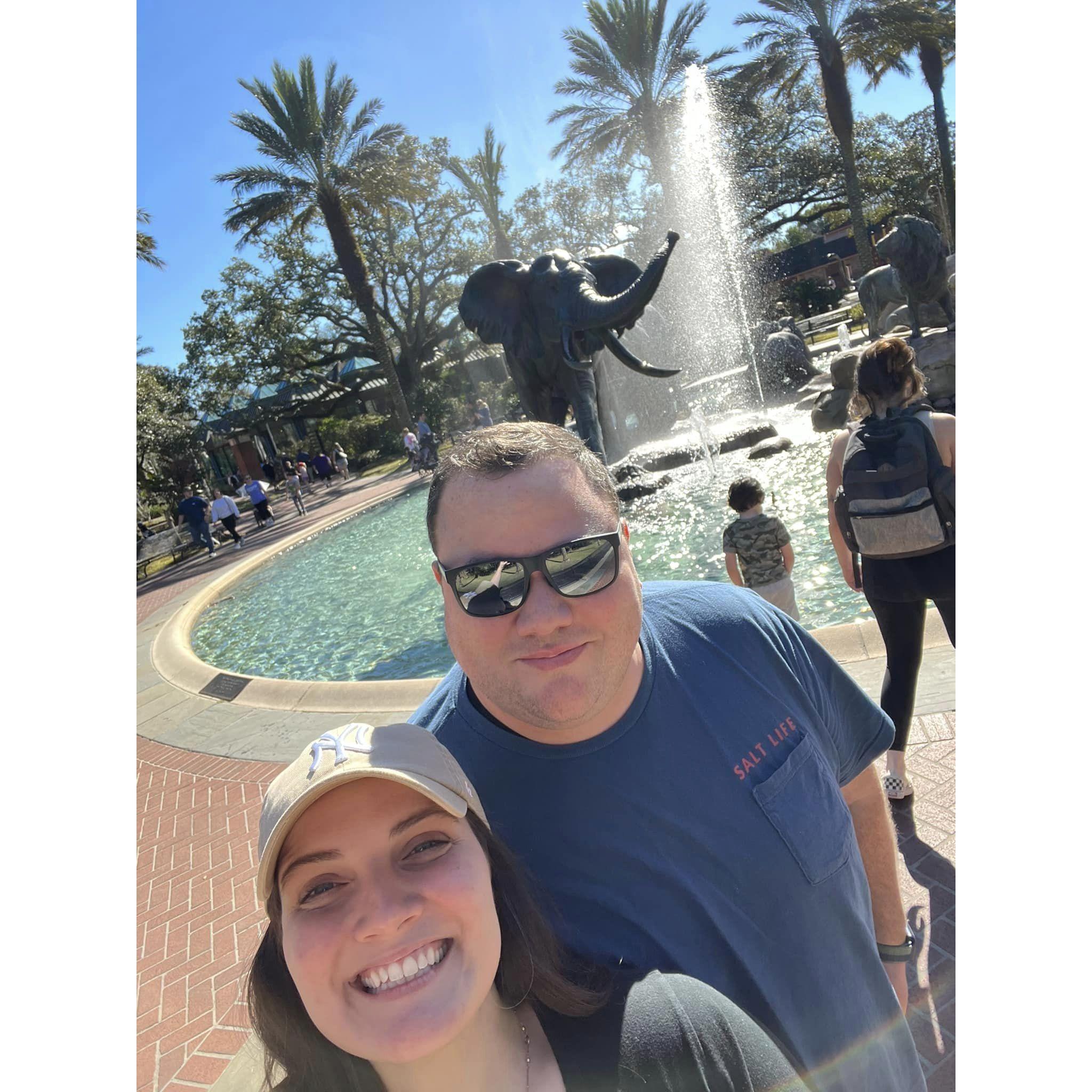 29th Birthday Date to the Zoo