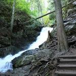 BX Creek & Falls Trail