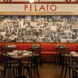 Pelato
