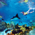 Snorkeling Adventures